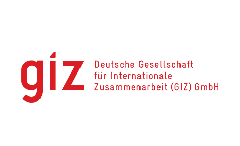 GIZ Logo