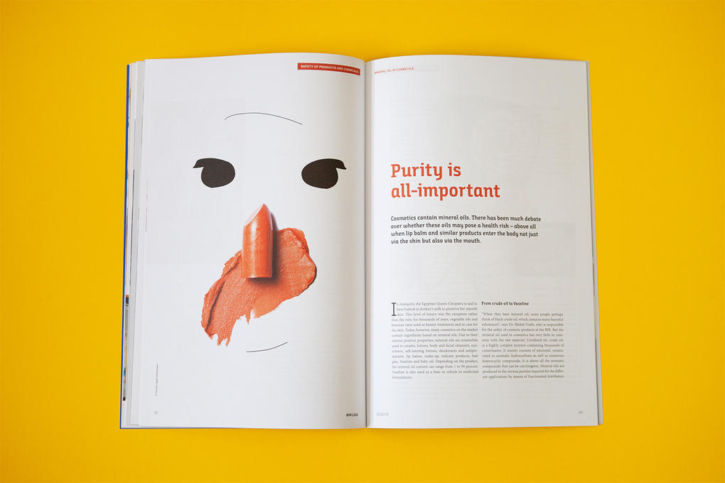BfR-Magazin