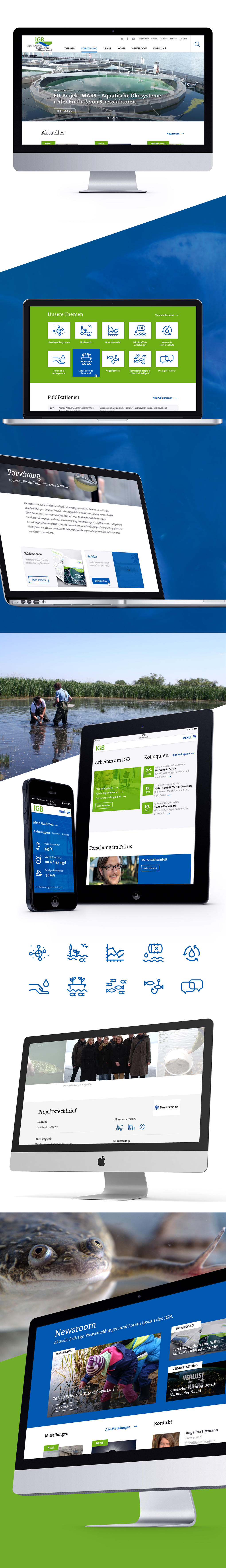 Teaserbild für Projektwebsite des Leibniz-Instituts für Gewässerökologie und Binnenfischerei 