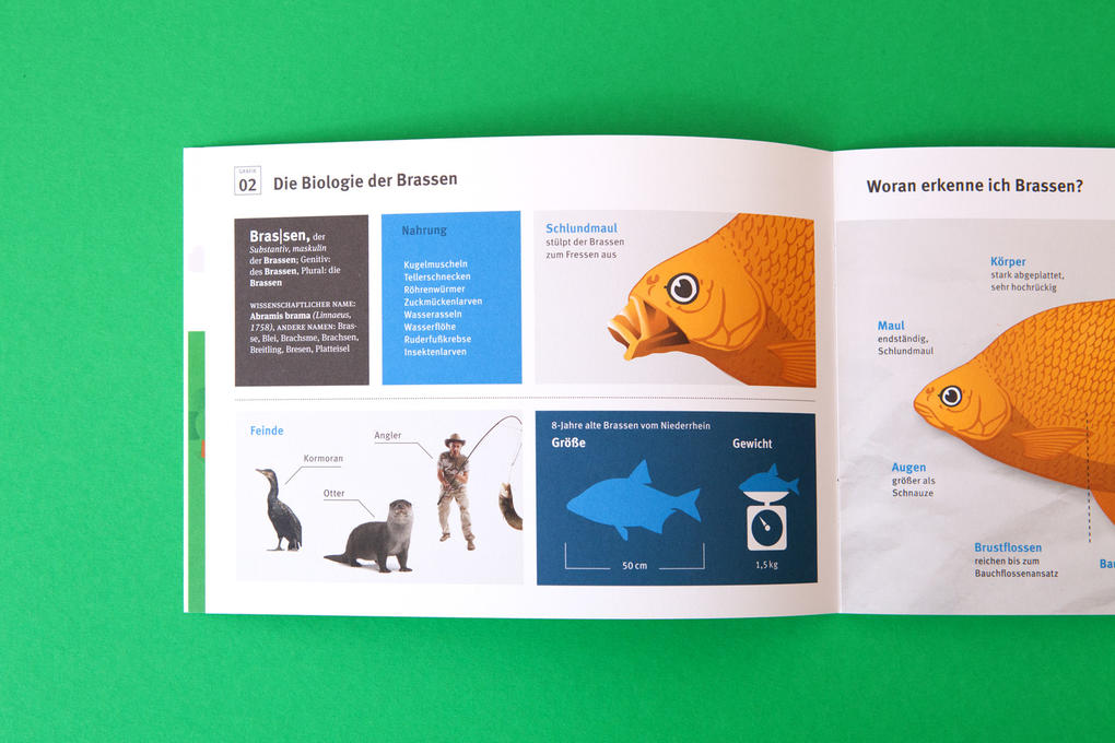 Für das Umweltbundesamt haben wir einen Infografik-Folder zum Thema "Schadstoffmonitoring" erstellt.